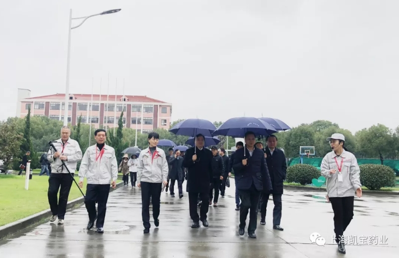 区委书记庄木弟、区长华源陪同上海市政府参事室党组书记、主任姜一律一行到7790必发集团调研指导事情